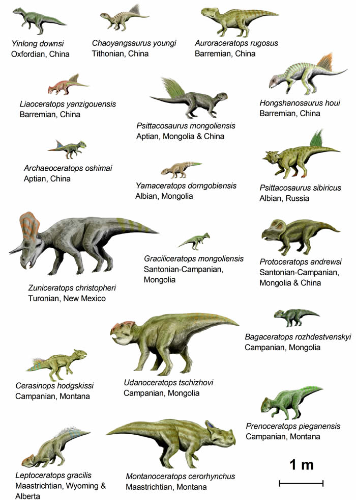 dinoszaurusz